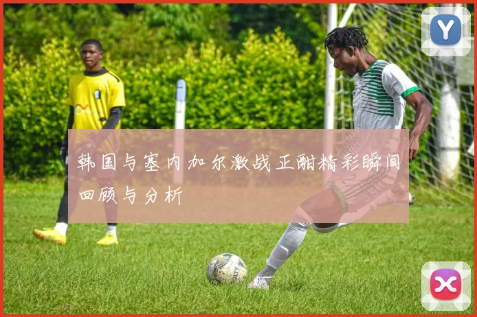 韩国与塞内加尔激战正酣精彩瞬间回顾与分析
