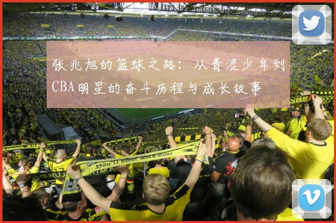 张兆旭的篮球之路：从青涩少年到CBA明星的奋斗历程与成长故事