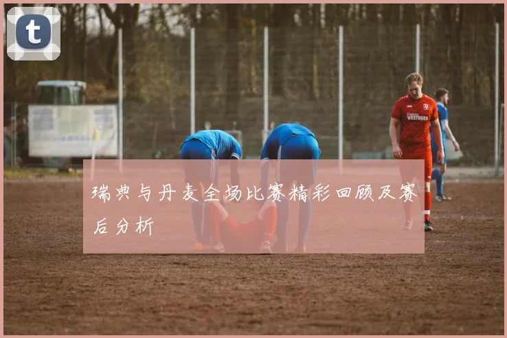 瑞典与丹麦全场比赛精彩回顾及赛后分析