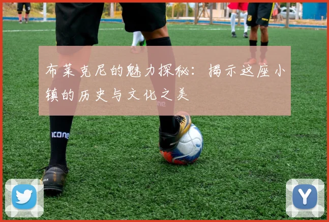 布莱克尼的魅力探秘：揭示这座小镇的历史与文化之美
