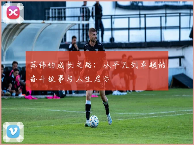 苏伟的成长之路：从平凡到卓越的奋斗故事与人生启示